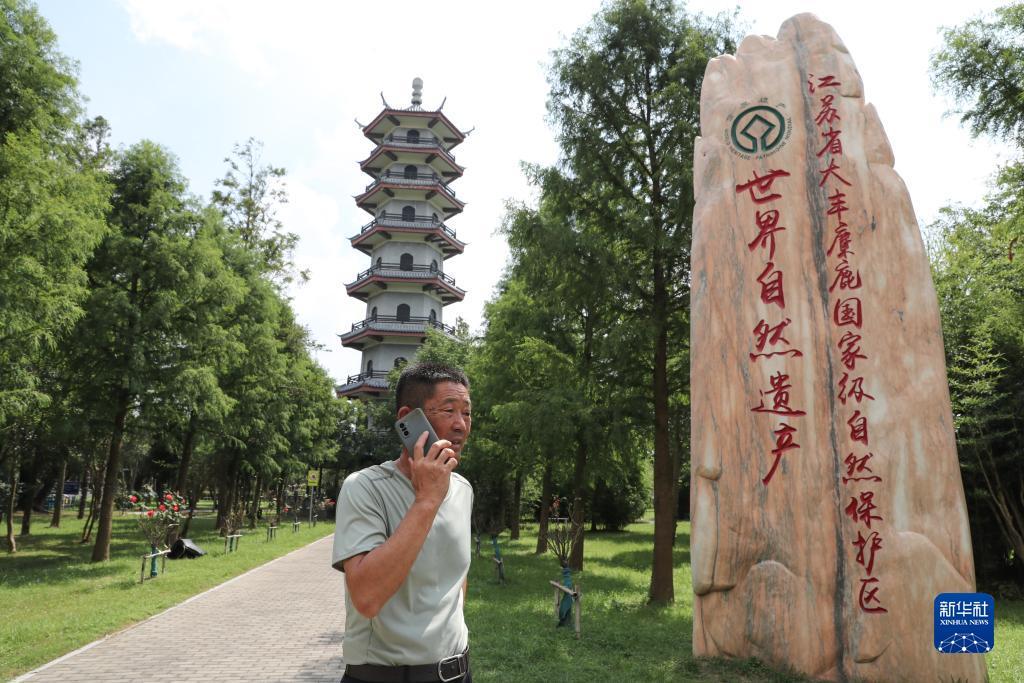 澳门大红鹰网址查询